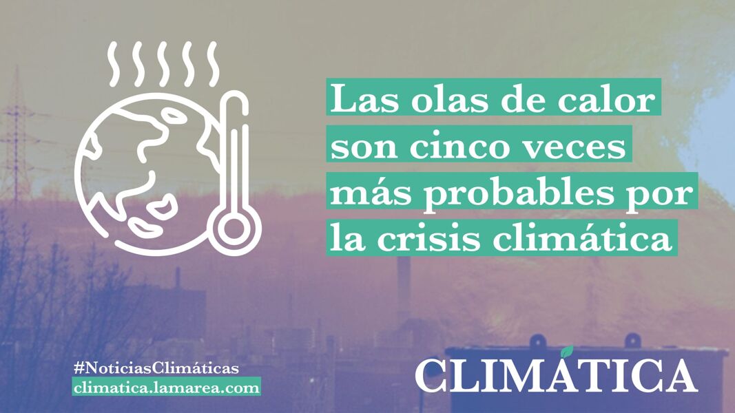Las olas de calor son cinco veces más probables por la crisis climática