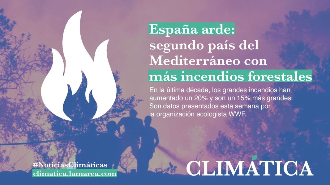 España arde: segundo país del Mediterráneo con más incendios forestales