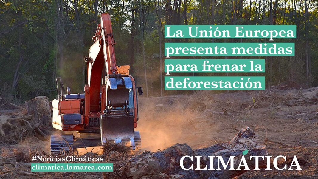La Unión Europea presenta medidas para frenar la deforestación