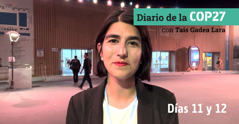 [VÍDEO] Diario de la COP27: días 11 y 12