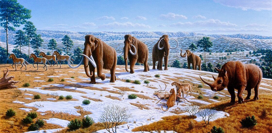 Resucitar al mamut para luchar contra el cambio climático