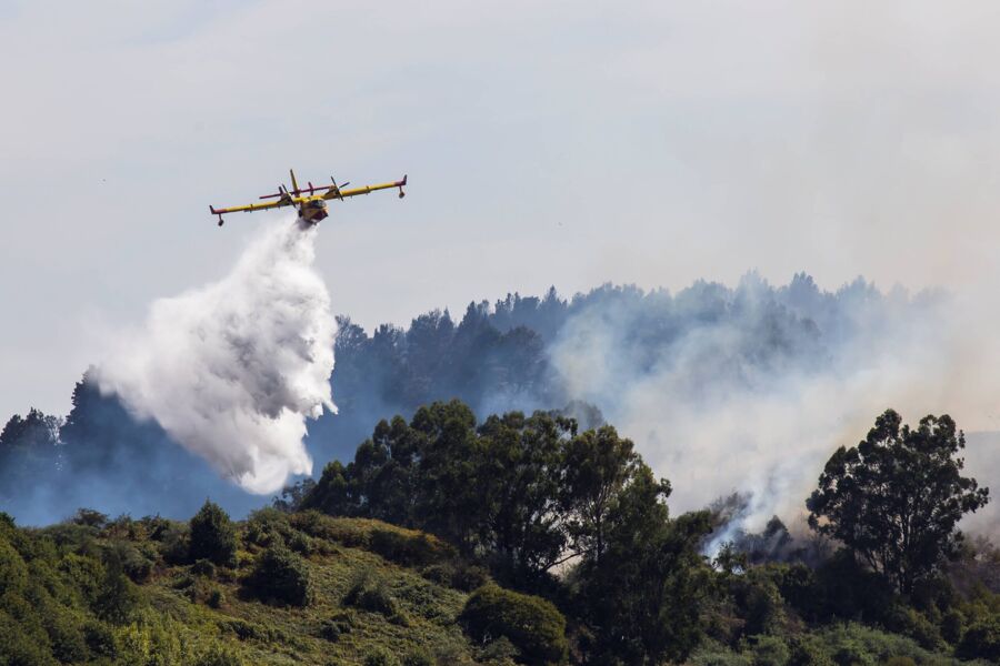 Optimismo con el incendio de Gran Canaria, que ya ha quemado 12.000 hectáreas