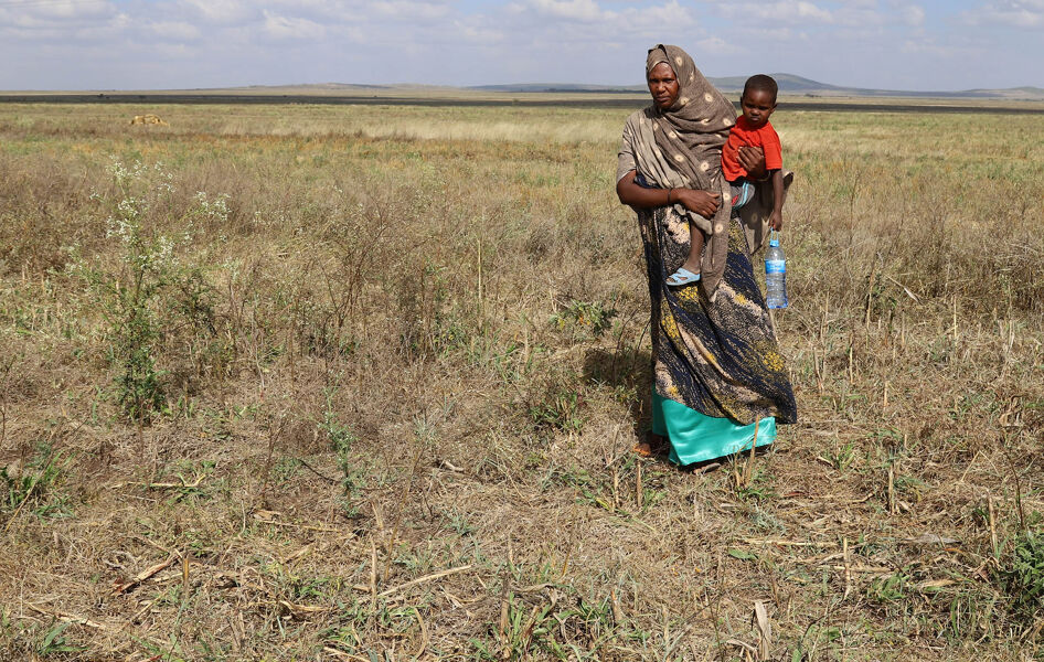 Las migraciones climáticas, otro efecto del calentamiento global
