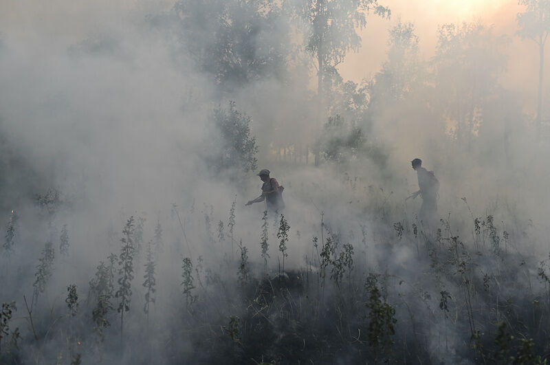 El cambio climático contribuyó a algunos de los peores eventos meteorológicos de 2020