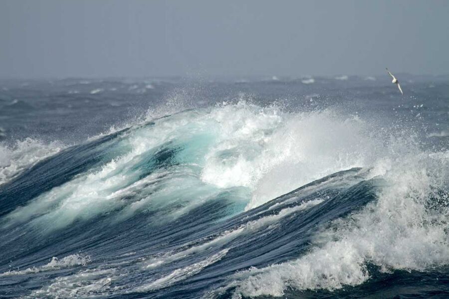 El océano es una esponja de CO2, pero, ¿cómo funciona este sumidero?