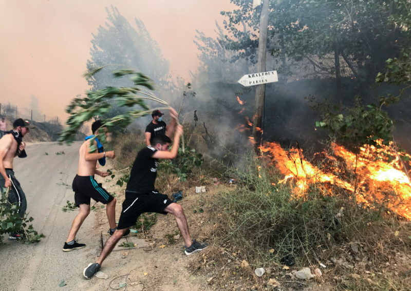 Argelia, nueva víctima de la combinación de olas de calor e incendios