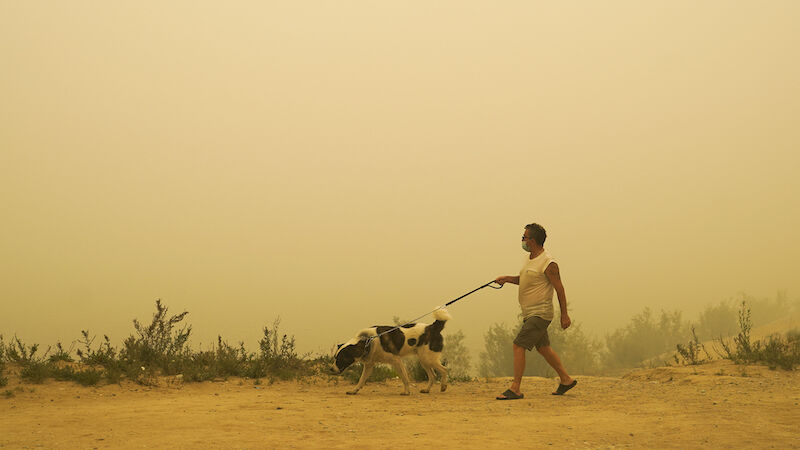 Día no laborable en Siberia por los incendios forestales