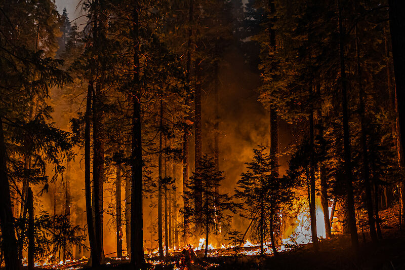 ¿Por qué es tan difícil actuar contra el cambio climático?