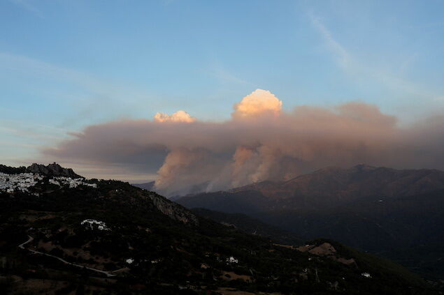 Crisis climática, cambios en el régimen natural de incendios y abandono rural: el cóctel explosivo en el incendio de Sierra Bermeja (Málaga)