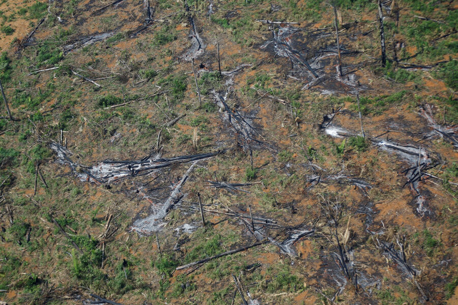 La deforestación en la Amazonia brasileña aumenta un 22%: récord en 15 años