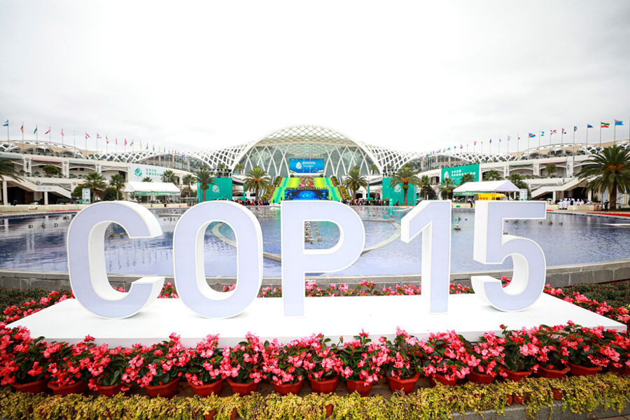 Wall Street aterriza en la COP15 sobre biodiversidad con inversiones billonarias