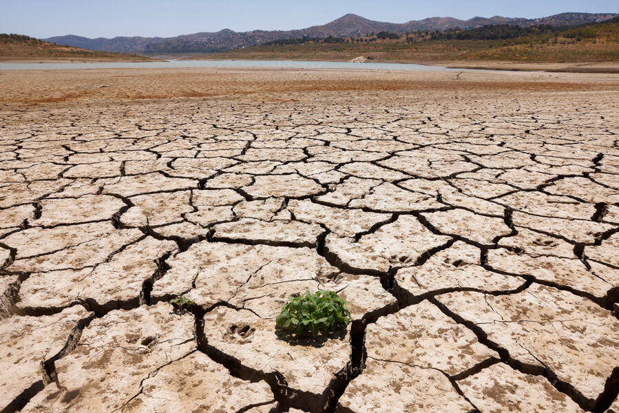 La sequía de este verano fue 20 veces más probable por el cambio climático