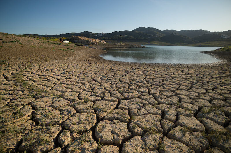 La Viñuela (Málaga): cultivos tropicales y un embalse seco, entre las noticias de este martes