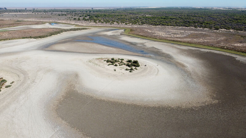 Doñana, primera reserva natural en ser excluida por el mayor organismo ambiental del mundo