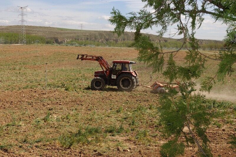 Mueren dos agricultores por golpes de calor, entre las noticias de este miércoles