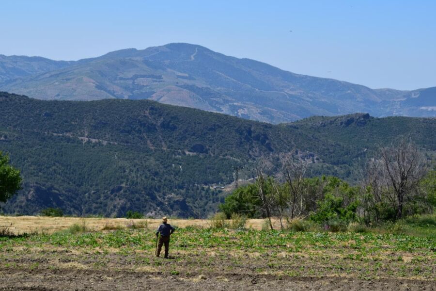 [Resumen 25/08] Aumenta la erosión del suelo debido al cambio climático y el uso de la tierra
