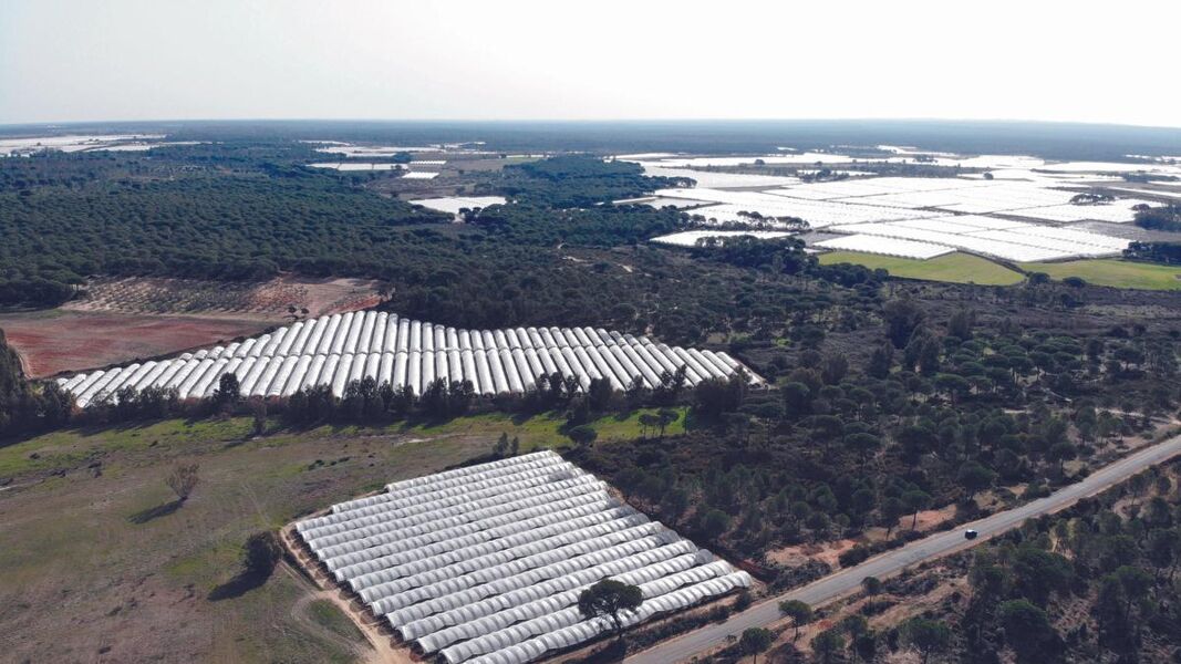 La ley de regadíos en Doñana y el récord de energía limpia, entre las noticias que contamos hoy