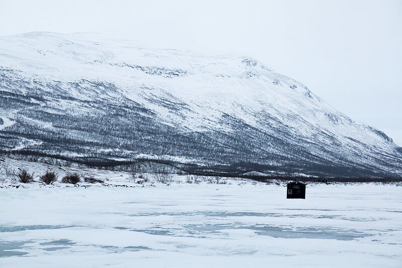 [10/02] El permafrost ártico libera más CO2 de lo que se creía