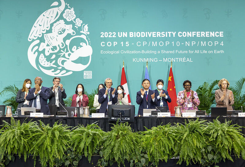 COP15: los países acuerdan proteger al menos el 30% de la biodiversidad para 2030