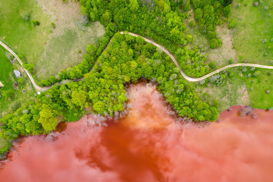 IPBES: el cortoplacismo y el crecimiento económico destruyen la biodiversidad