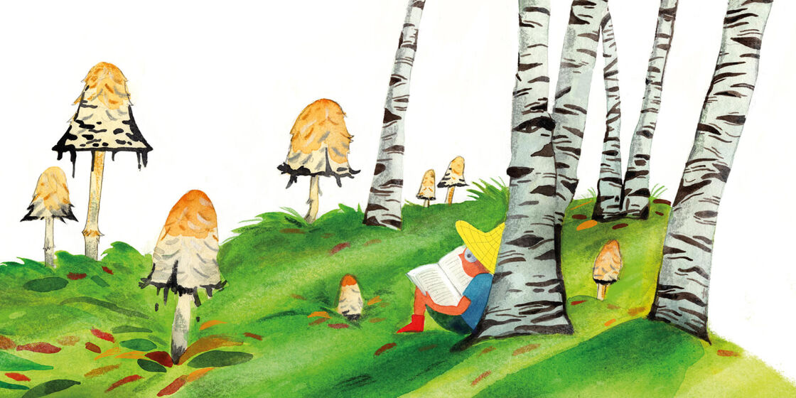13 libros infantiles para cuidar el planeta