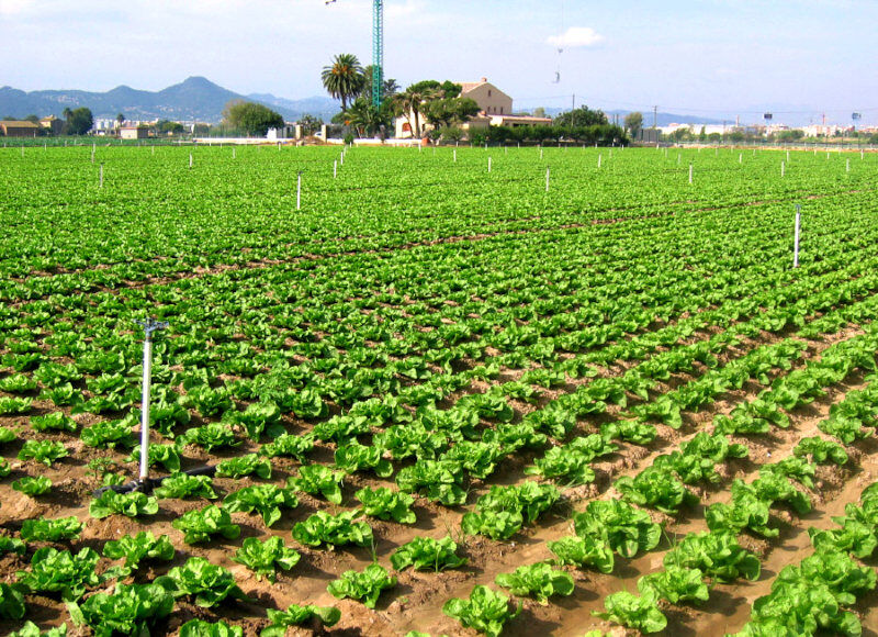 Agroecología: cuando la acción climática está en nuestros platos