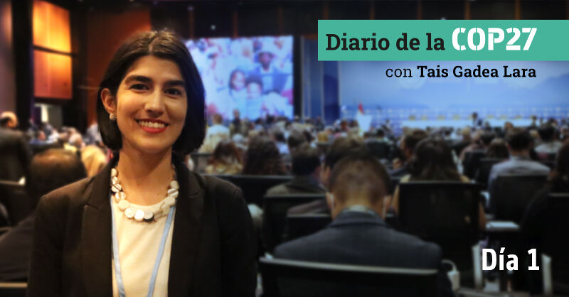 [VÍDEO] Diario de la COP27: día 1