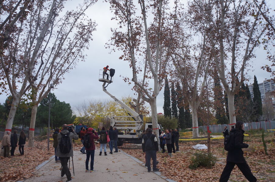Cuando el hormigón no te deja ver los árboles