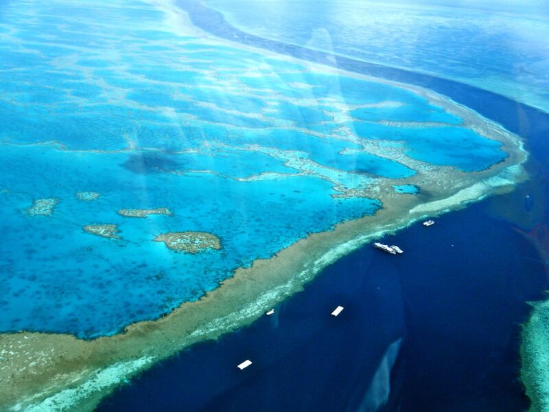 El gobierno australiano invierte en la Gran Barrera de Coral antes de las elecciones