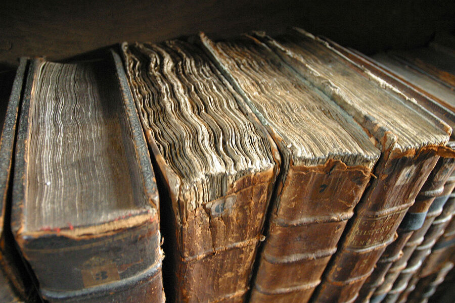 Cinco libros imprescindibles sobre el hambre