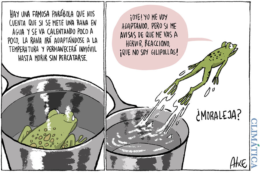 La parábola de la rana