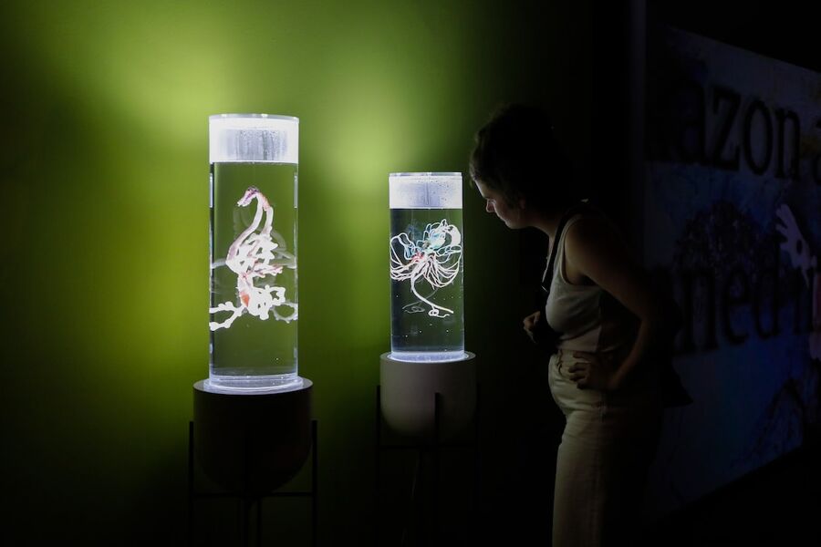 ‘Eco-visionarios’: arte que se compromete con la crisis climática