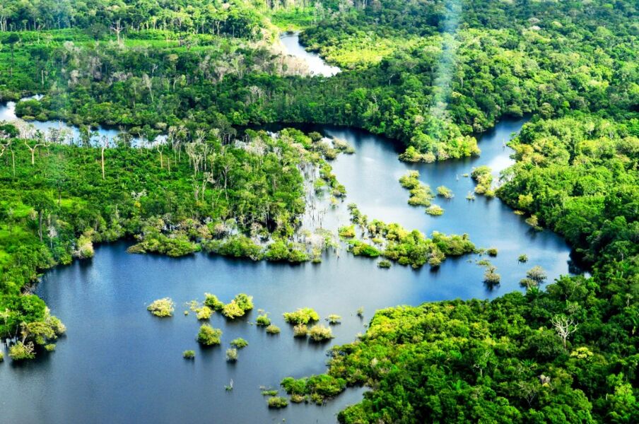 Los peligros globales de la degradación de la Amazonia