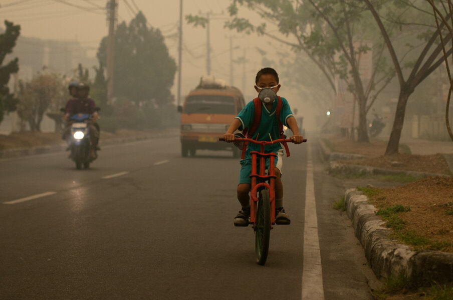 Millones de nacimientos prematuros por contaminación y cambio climático, entre las noticias de este miércoles