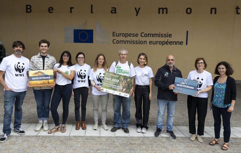 Ecologistas piden a la UE que presione para salvar Doñana, entre las noticias de este jueves