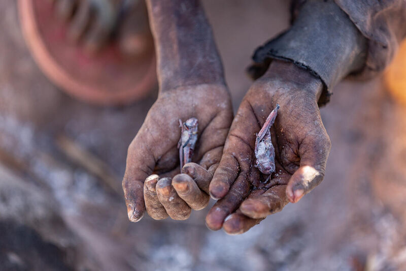Hambruna en Madagascar por la crisis climática