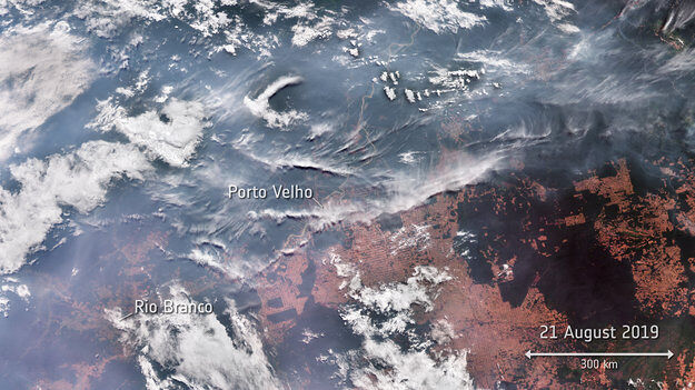 Los incendios en la Amazonia casi se cuadruplican con respecto a agosto del año pasado