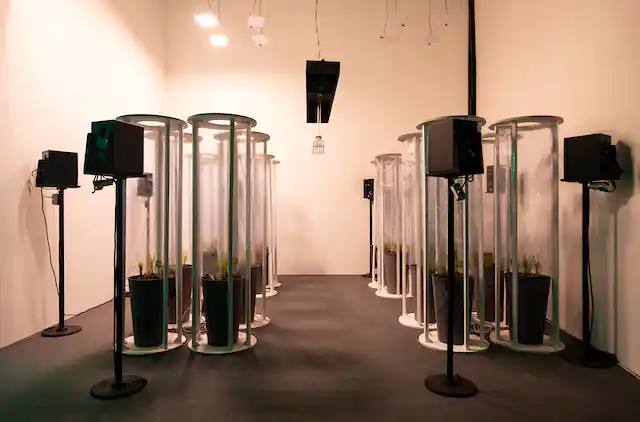 Arte y biotecnología de plantas frente al cambio climático