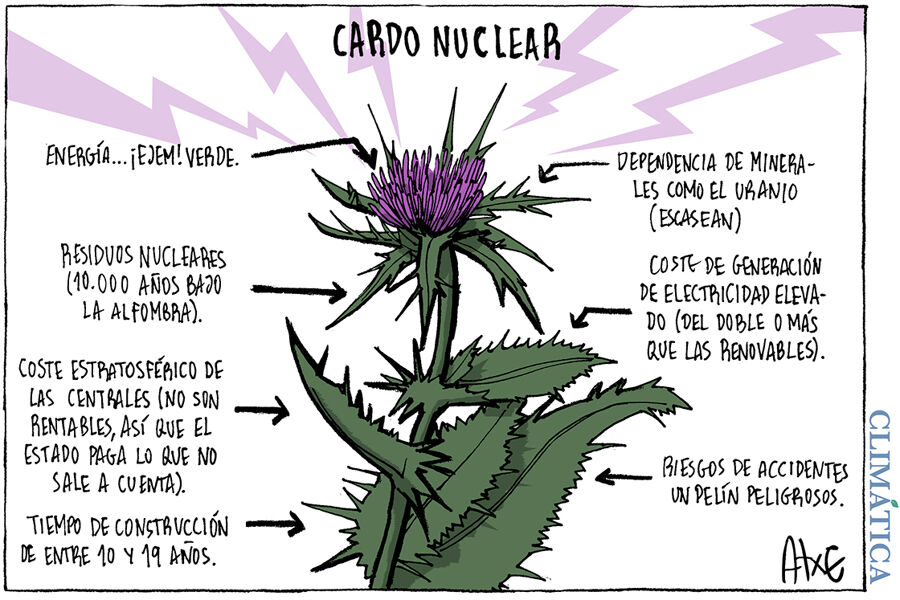 Cardo nuclear