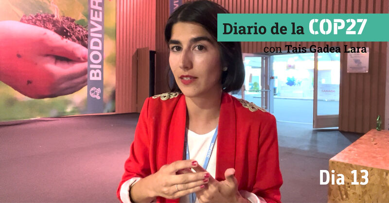 [VÍDEO] Diario de la COP27: día 13