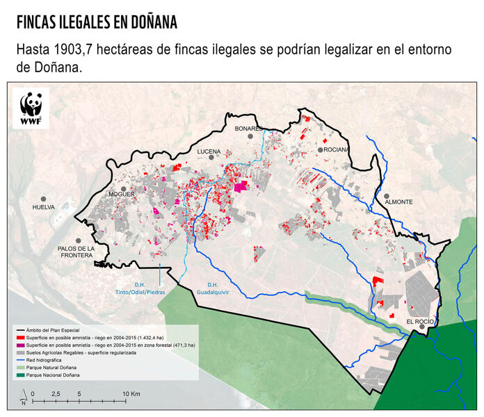 WWF cifra en 1.903 las hectáreas que se pretenden regularizar en Doñana, entre las noticias de este jueves