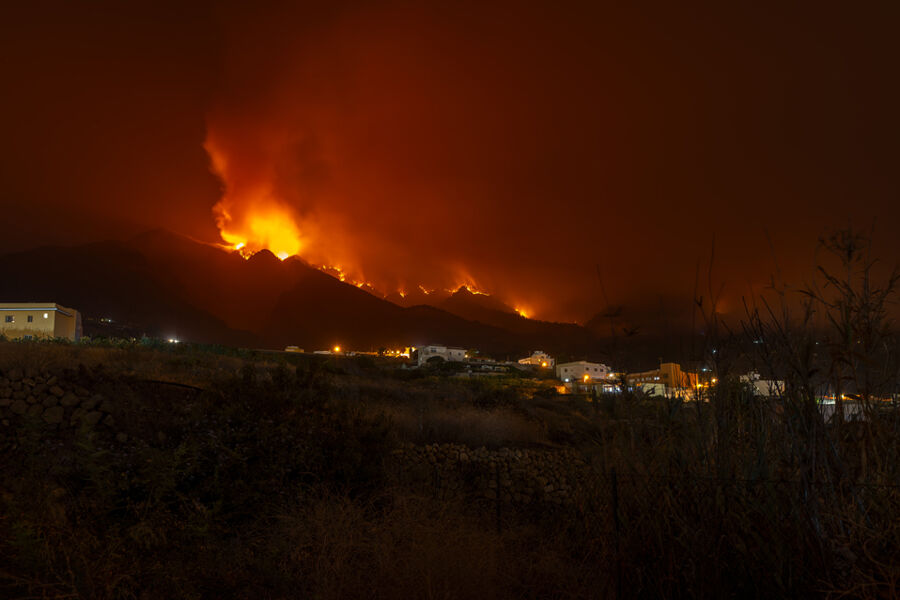Arde Tenerife, se quema nuestra casa: incendios y desplazamientos en tiempos de emergencia climática