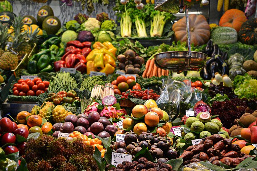 La urgente necesidad de hacer de la alimentación un tema de debate político