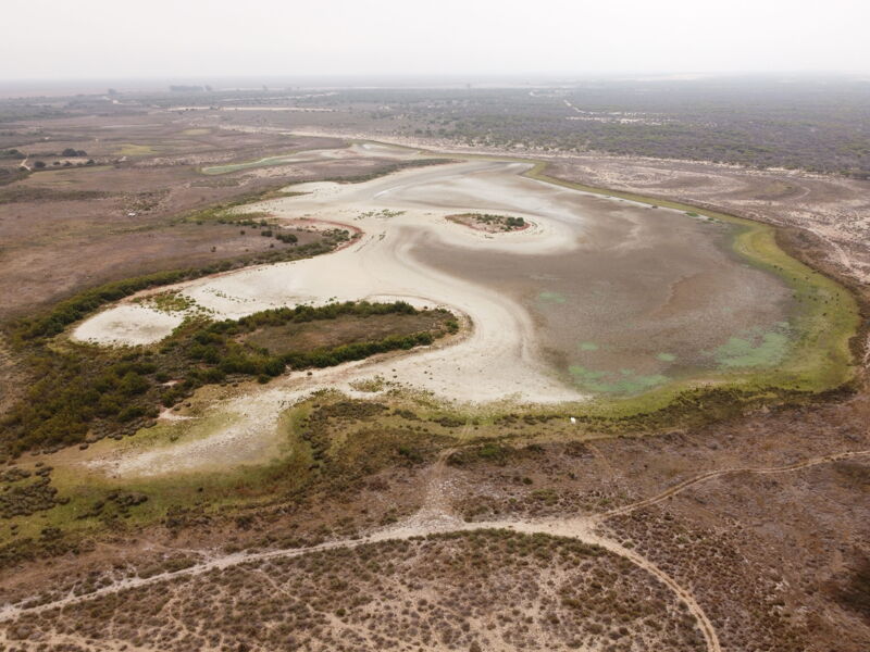 Y casi siempre (por desgracia) sale Doñana