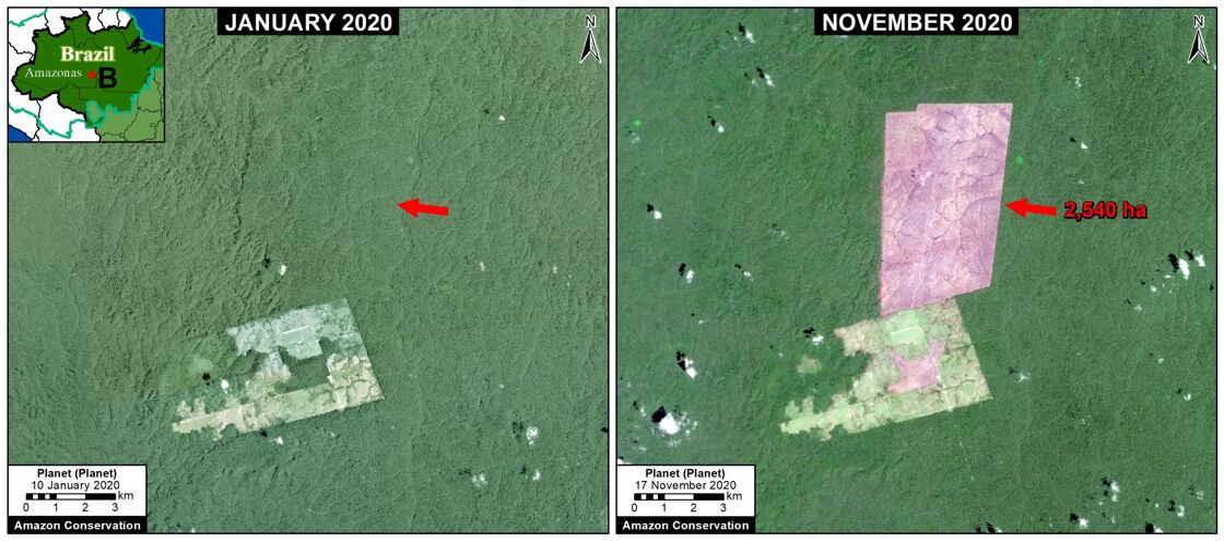 La Amazonia perdió en 2020 cerca de 2,3 millones de hectáreas de bosque primario