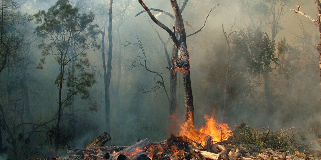 ¿Es Australia la zona cero del cambio climático? No todo es efecto invernadero