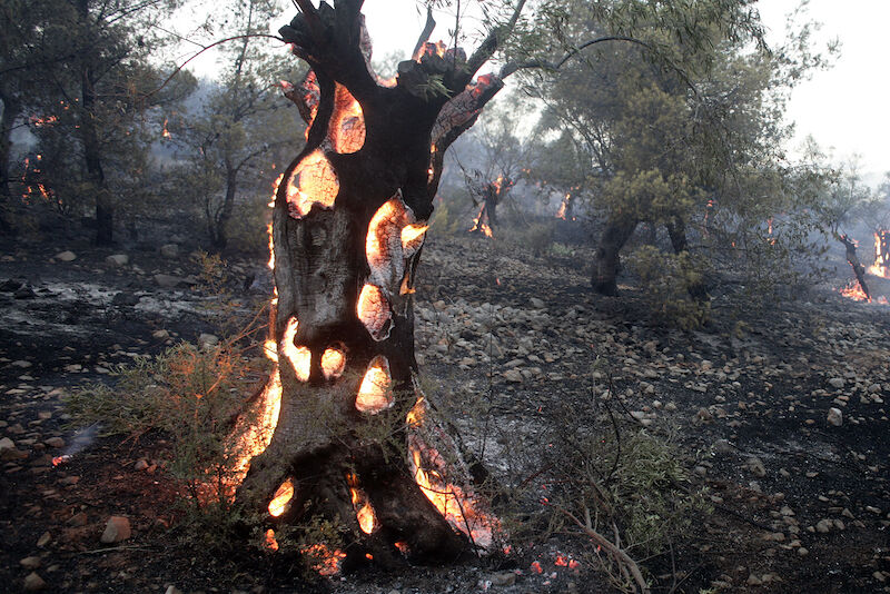 Los incendios vuelven a devorar Grecia