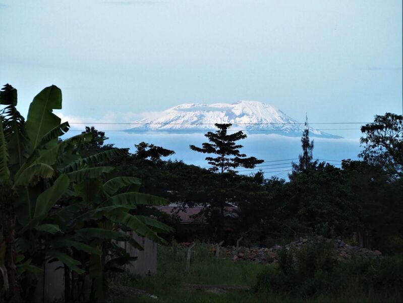 Las nieves (cada vez menos perpetuas) del Kilimanjaro