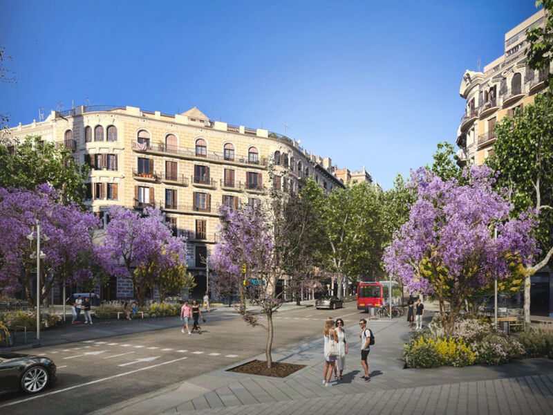 La sentencia contra el eje verde de Barcelona, entre las noticias de este viernes