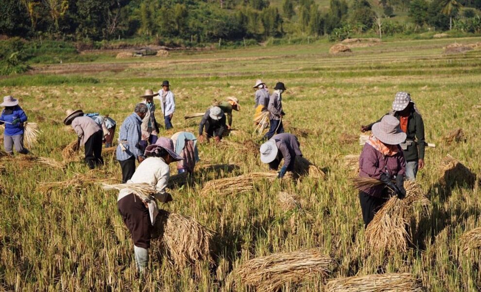 Por un sistema alimentario global compatible con la biodiversidad y el clima
